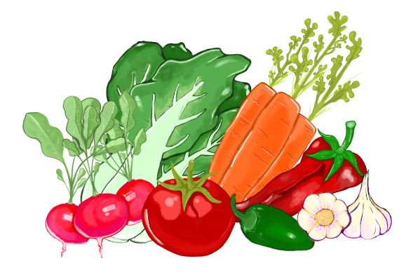 Original Artwork - Veggies